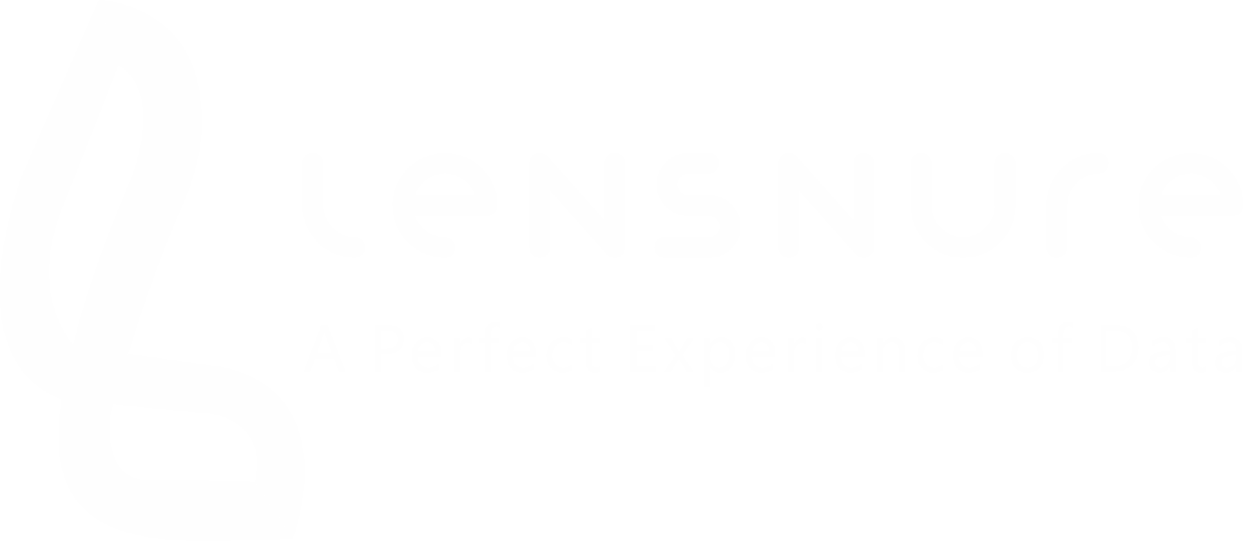 Lensnure Solutions Logo